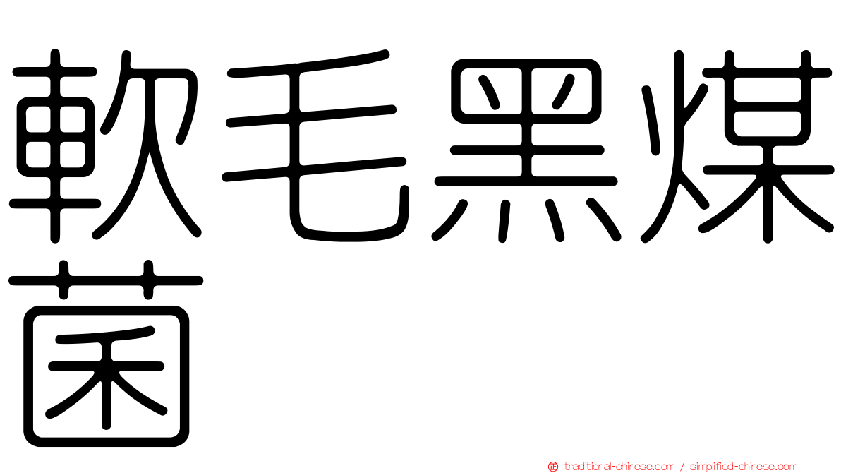 軟毛黑煤菌
