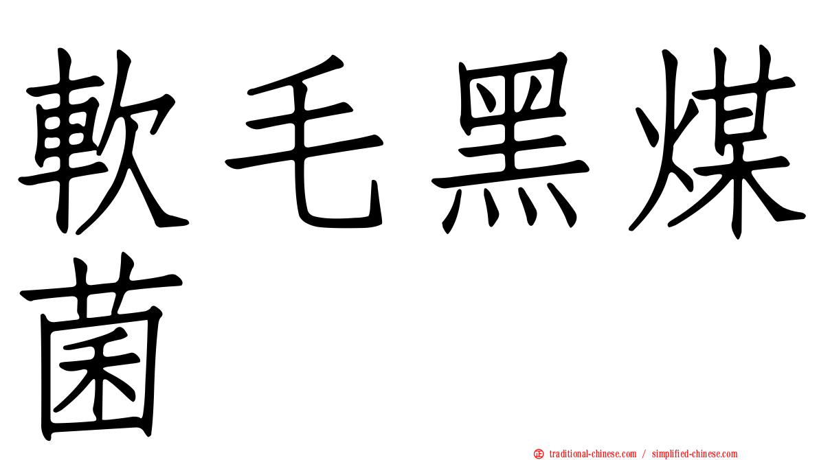 軟毛黑煤菌