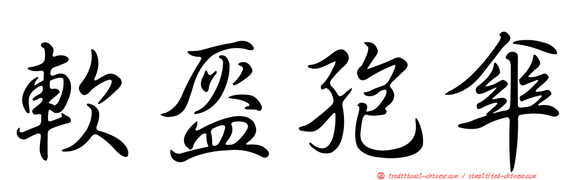 軟盔孢傘
