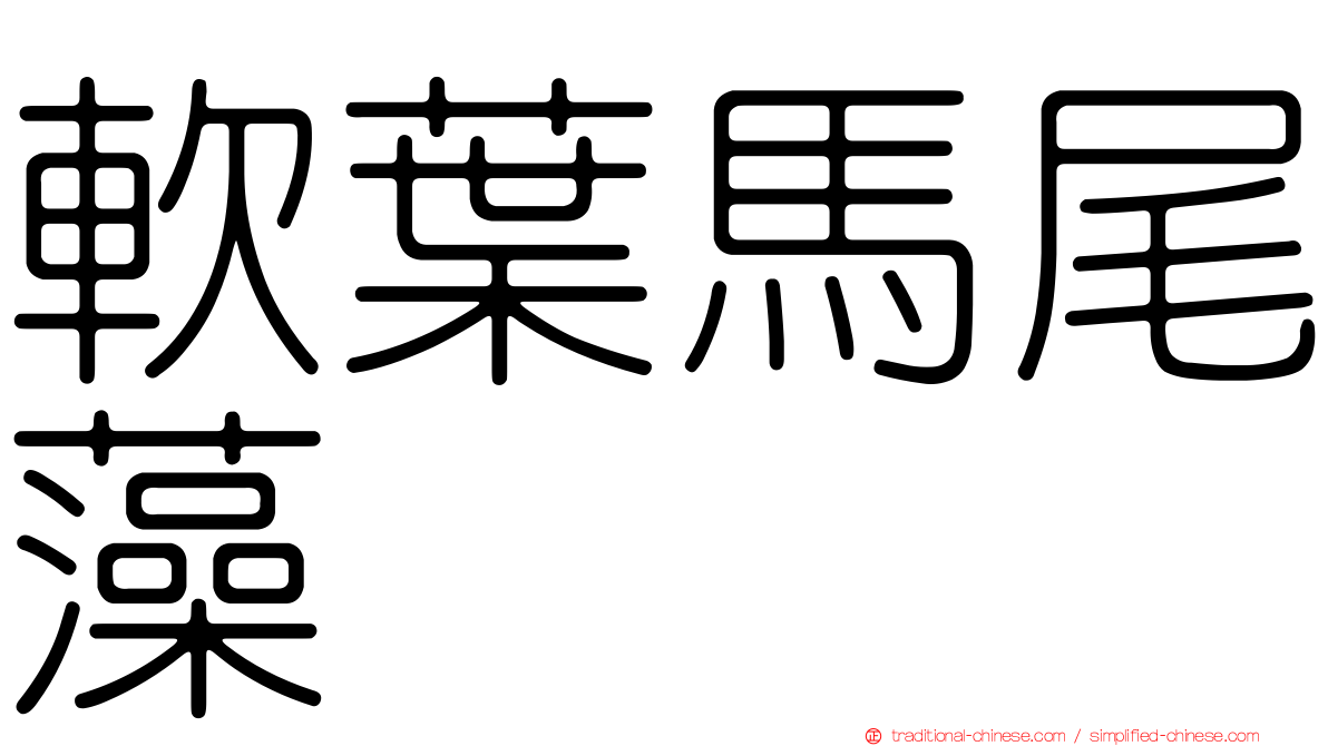 軟葉馬尾藻