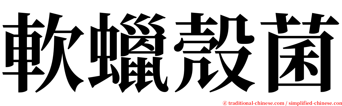 軟蠟殼菌 serif font