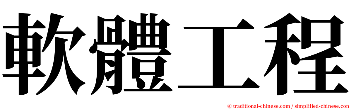 軟體工程 serif font