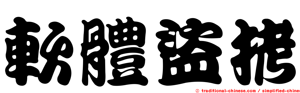 軟體盜拷