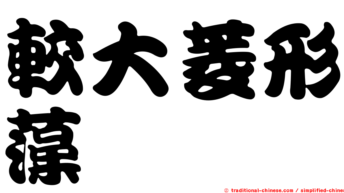 較大菱形藻