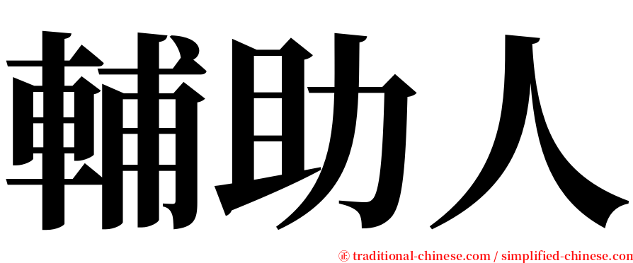 輔助人 serif font