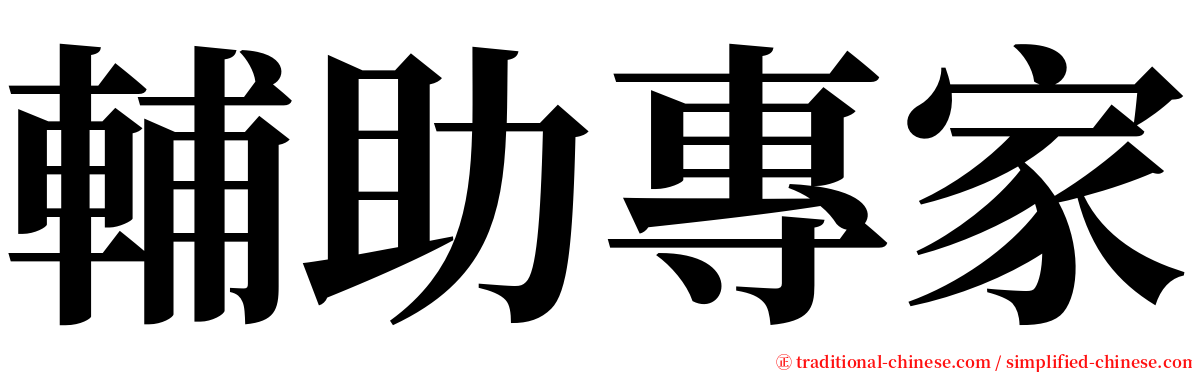 輔助專家 serif font