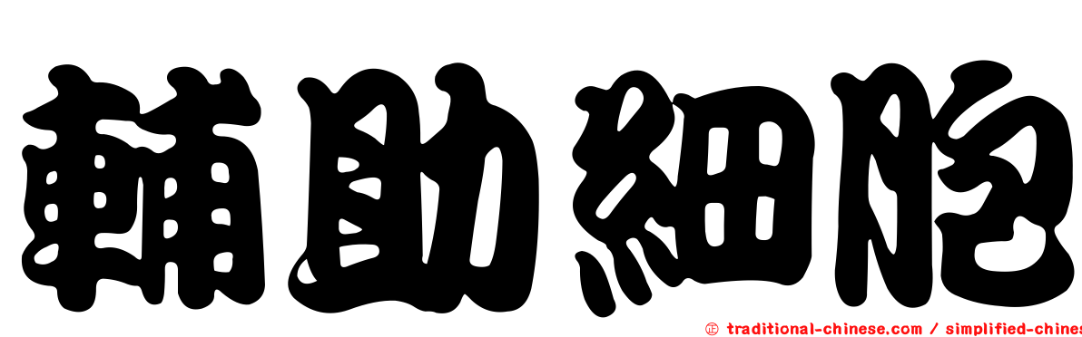 輔助細胞