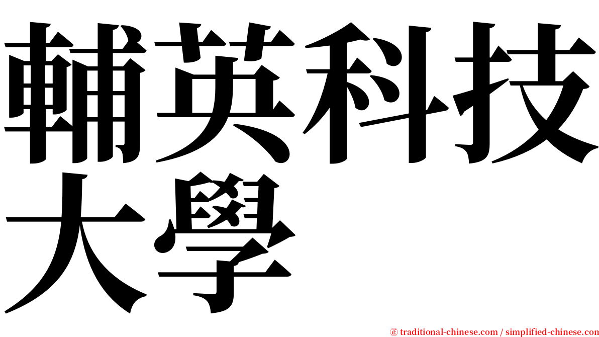 輔英科技大學 serif font