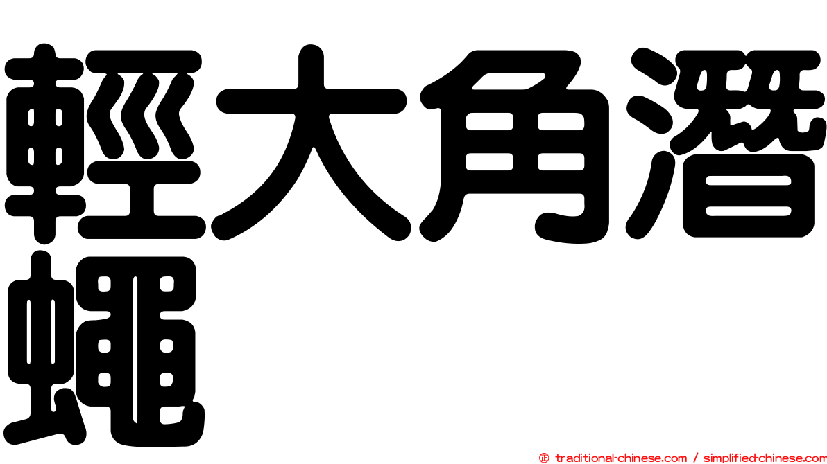 輕大角潛蠅