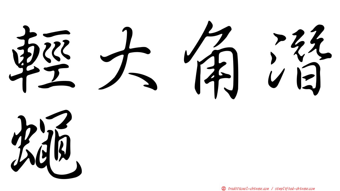 輕大角潛蠅