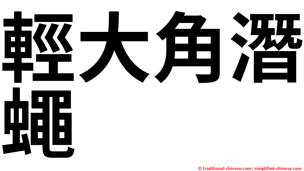 輕大角潛蠅