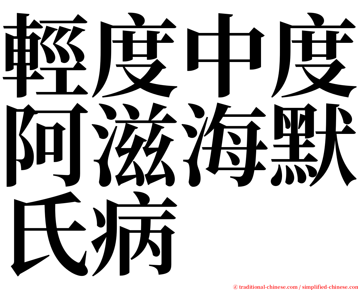 輕度中度阿滋海默氏病 serif font