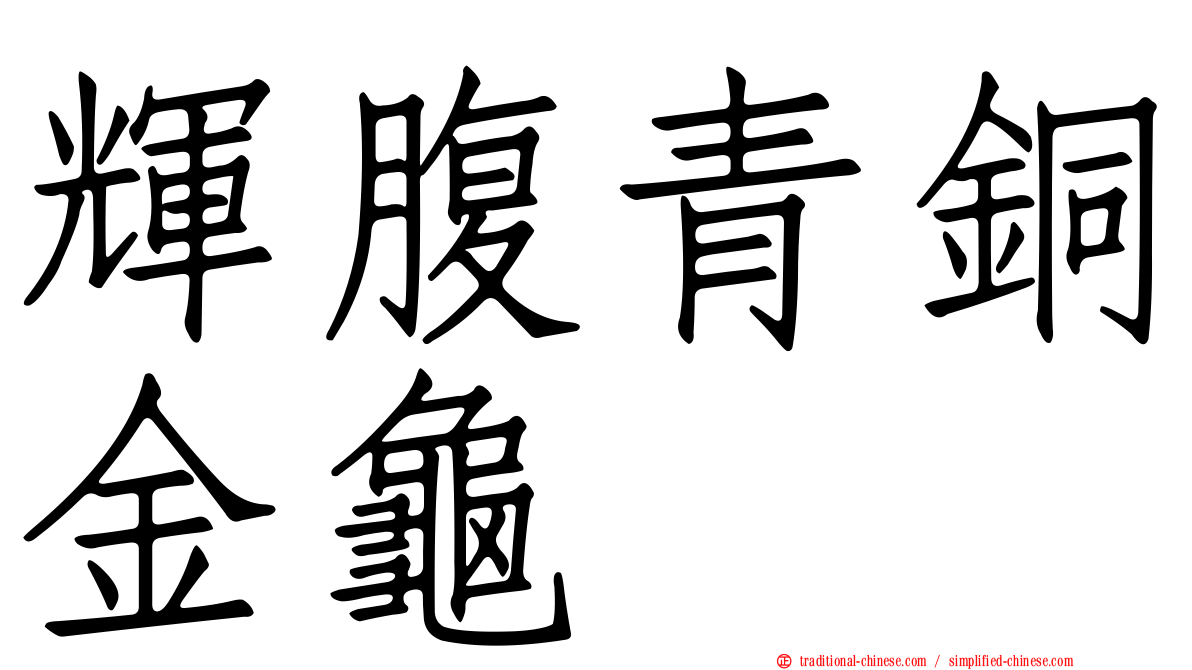 輝腹青銅金龜