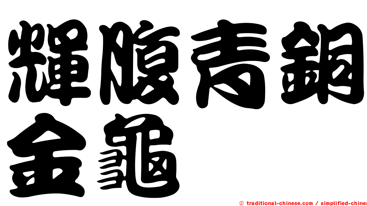 輝腹青銅金龜