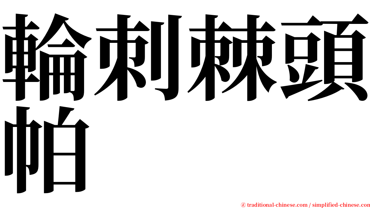 輪刺棘頭帕 serif font