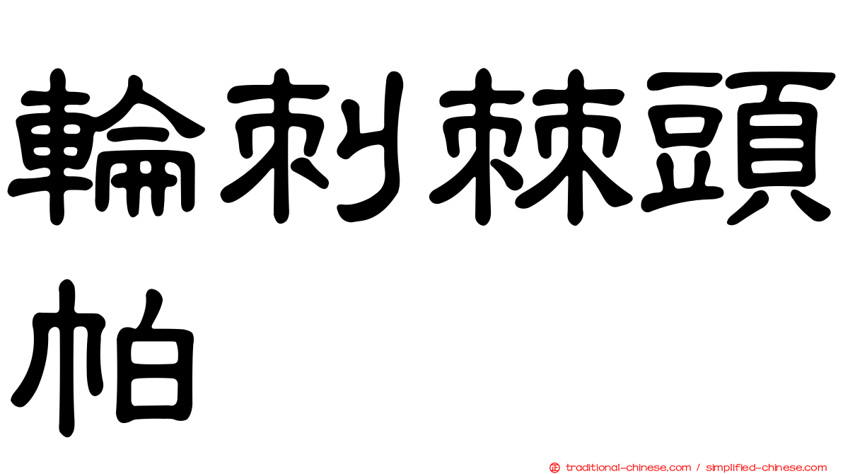 輪刺棘頭帕