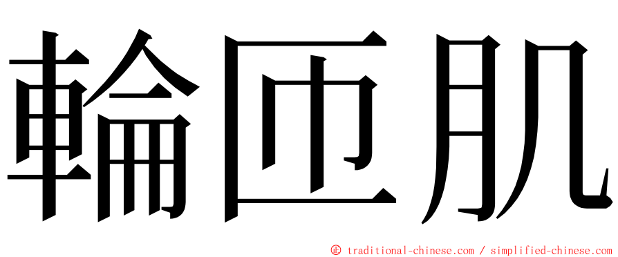 輪匝肌 ming font