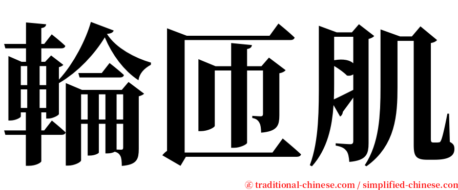 輪匝肌 serif font