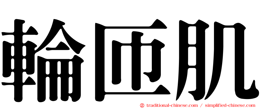輪匝肌