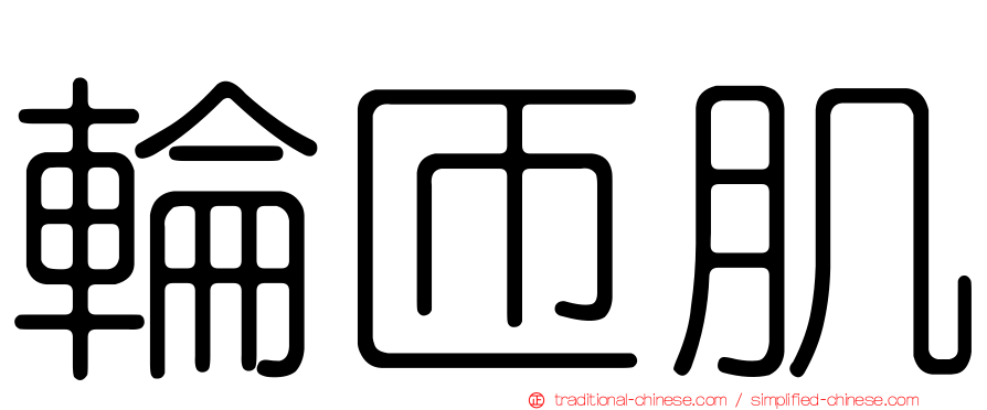 輪匝肌