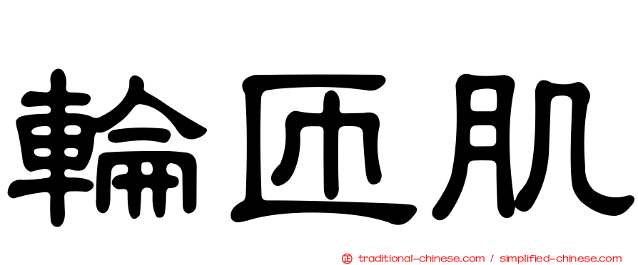 輪匝肌
