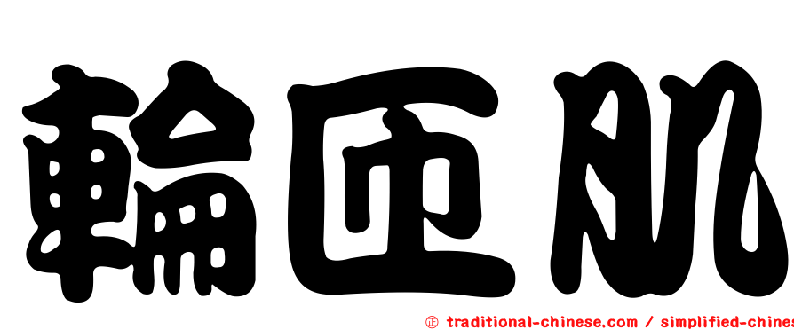 輪匝肌