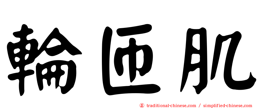 輪匝肌