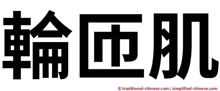 輪匝肌