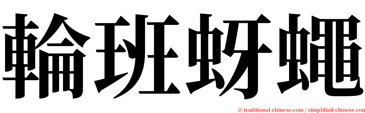 輪班蚜蠅 serif font