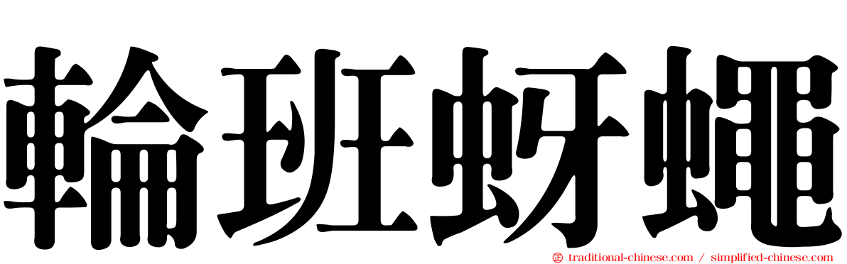 輪班蚜蠅