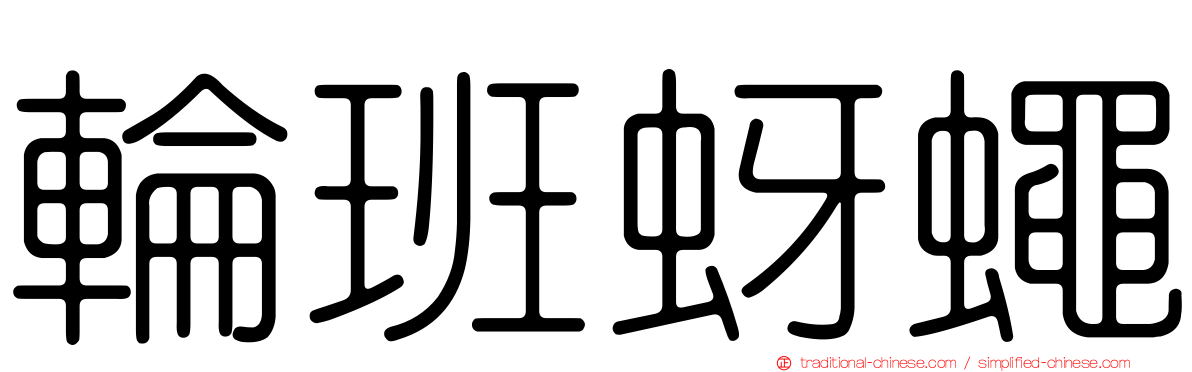 輪班蚜蠅