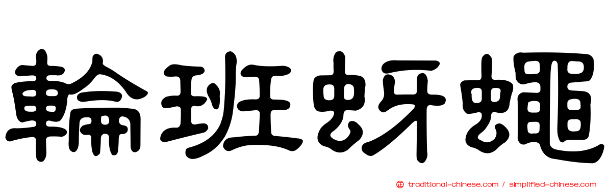 輪班蚜蠅