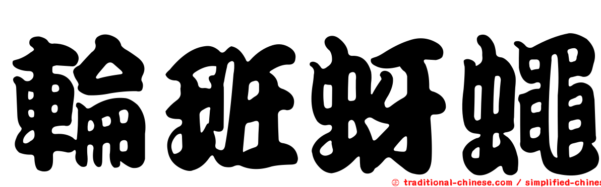 輪班蚜蠅