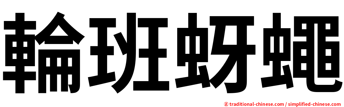 輪班蚜蠅