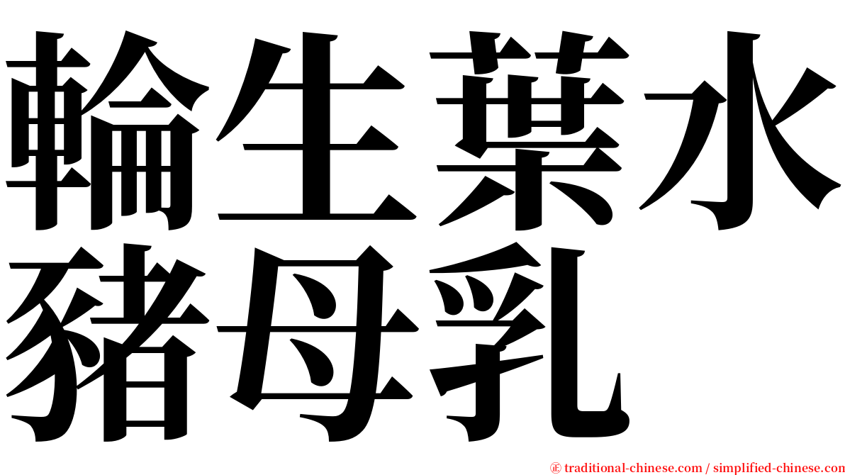 輪生葉水豬母乳 serif font