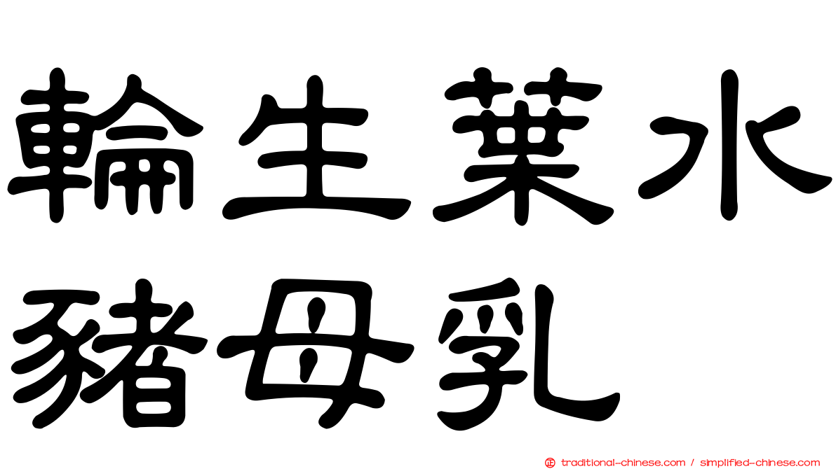 輪生葉水豬母乳