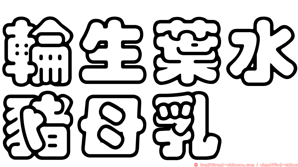輪生葉水豬母乳