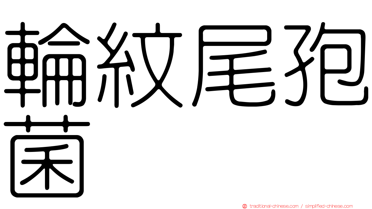 輪紋尾孢菌
