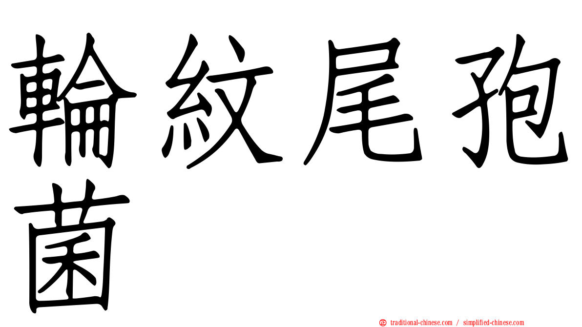輪紋尾孢菌
