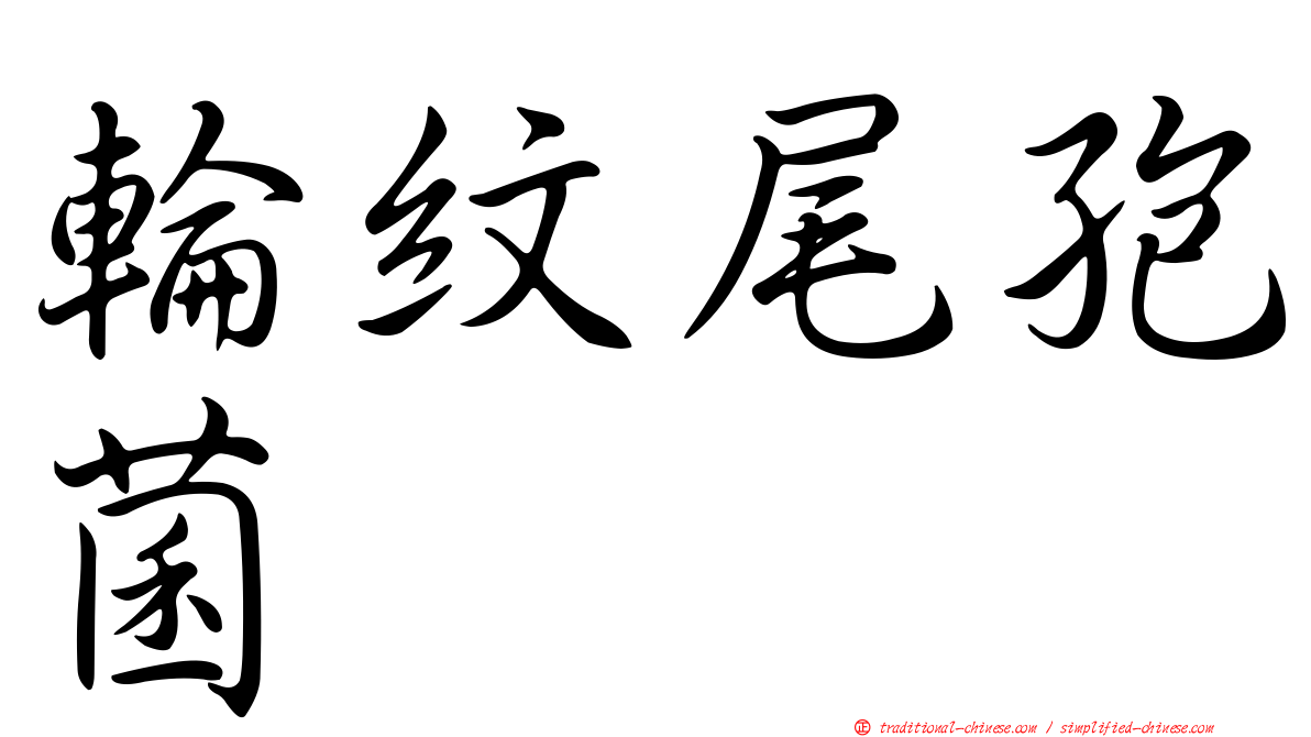 輪紋尾孢菌