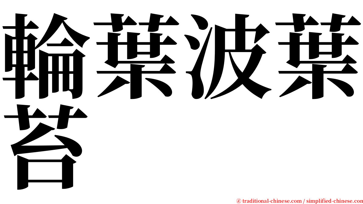 輪葉波葉苔 serif font
