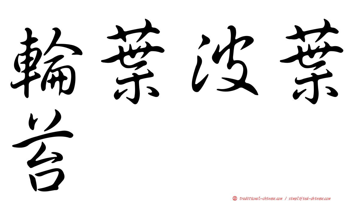 輪葉波葉苔