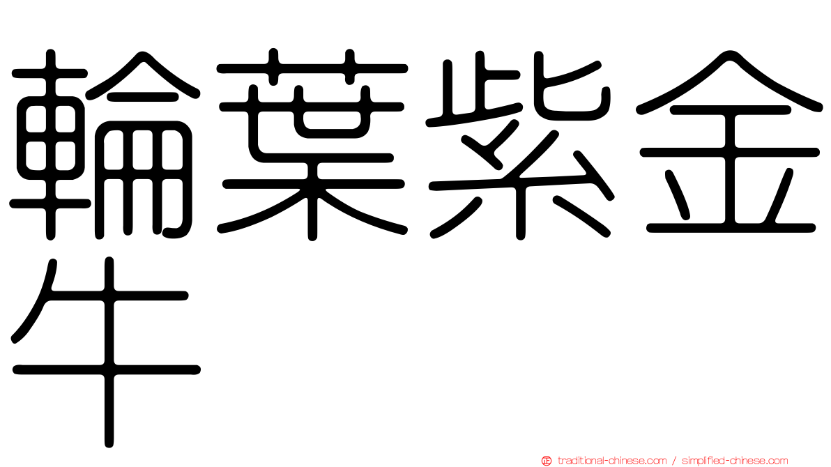 輪葉紫金牛