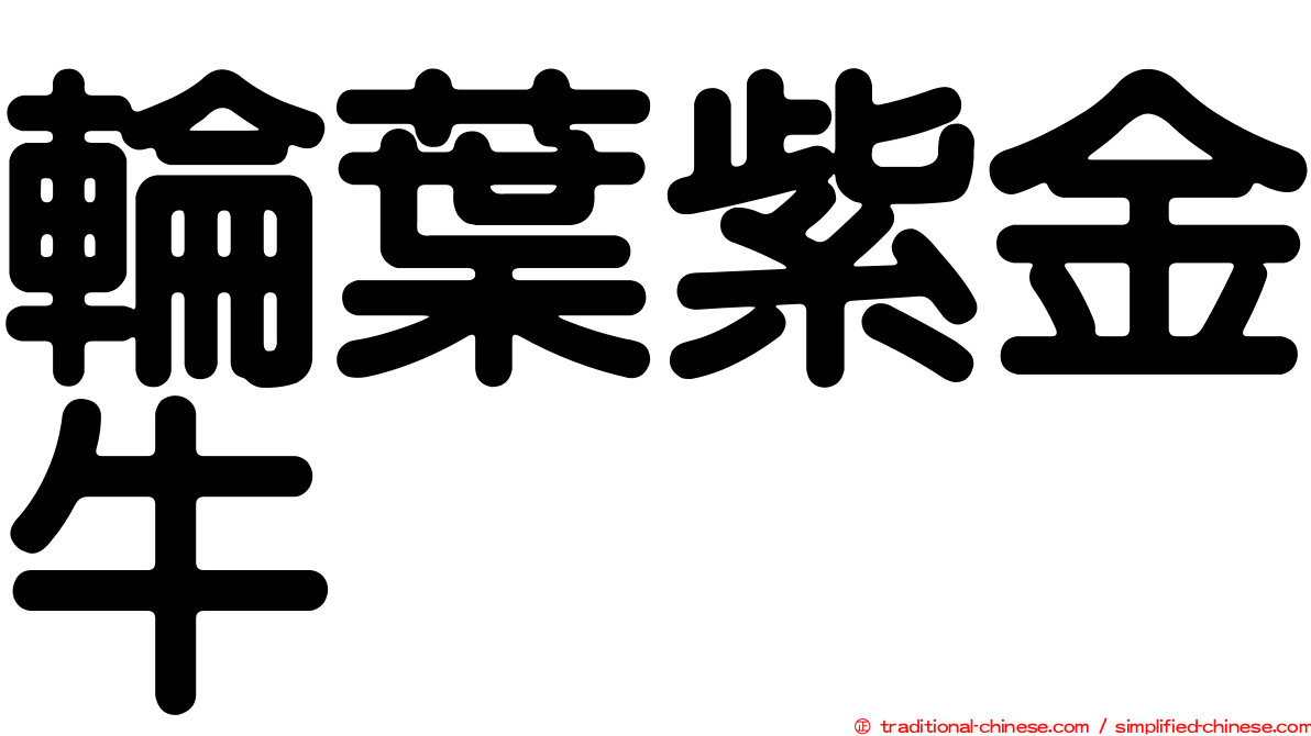 輪葉紫金牛