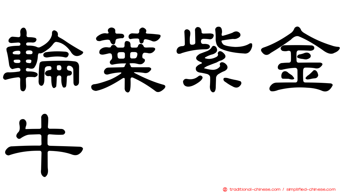 輪葉紫金牛
