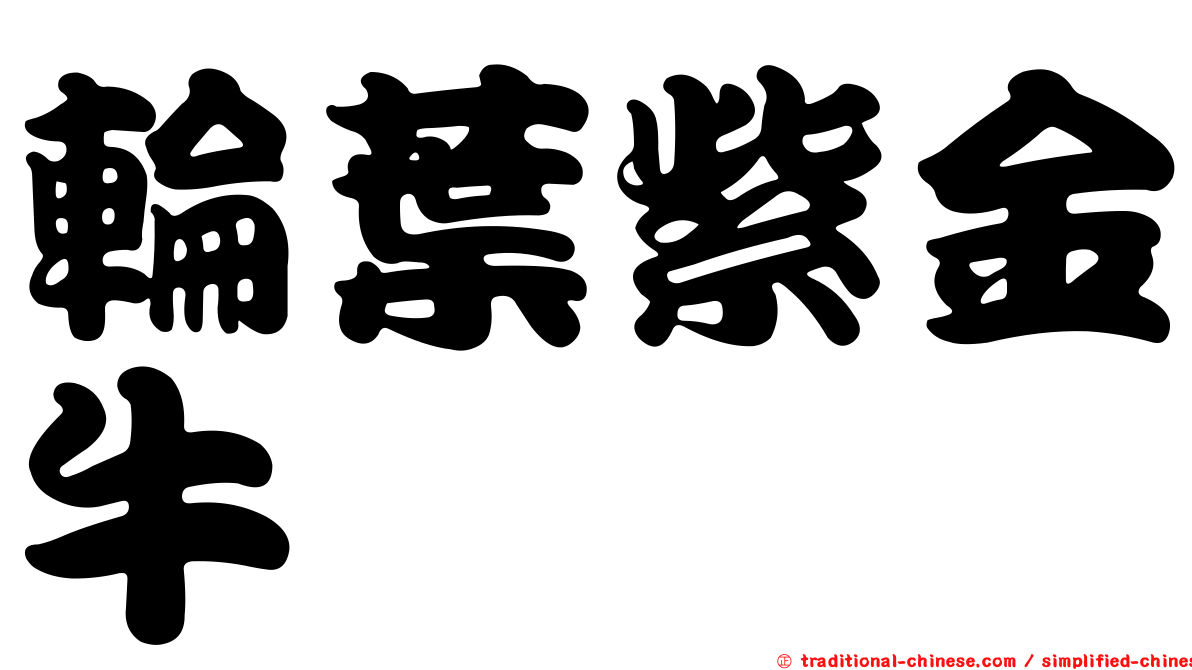 輪葉紫金牛