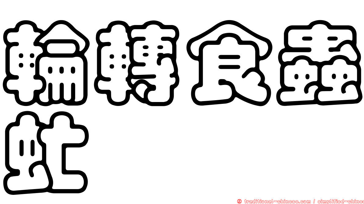 輪轉食蟲虻