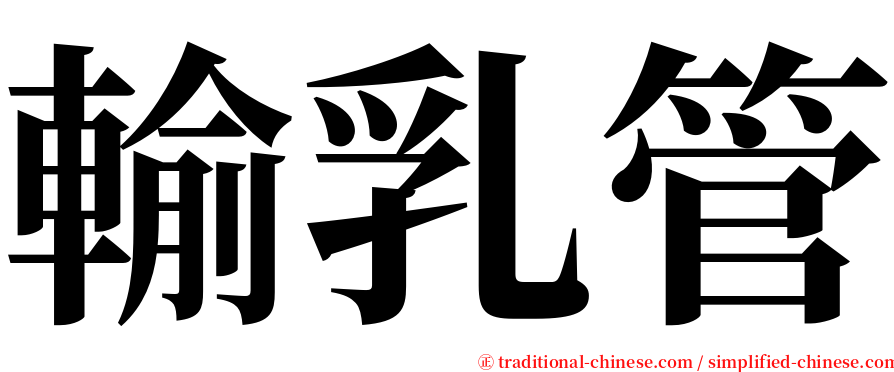 輸乳管 serif font