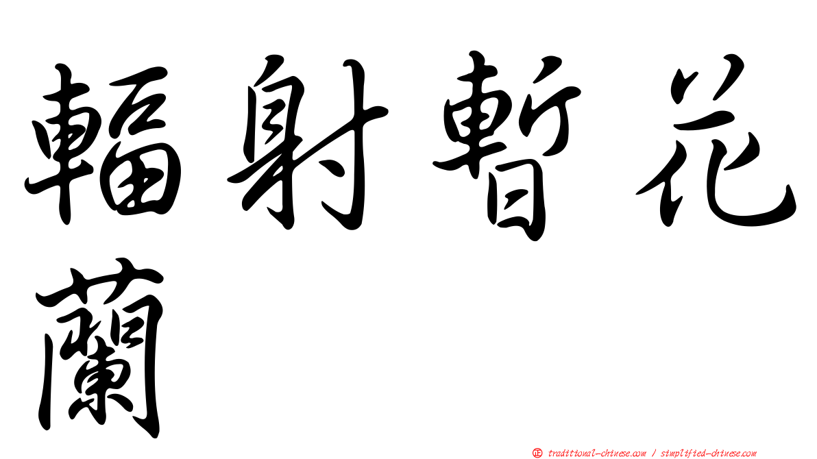 輻射暫花蘭