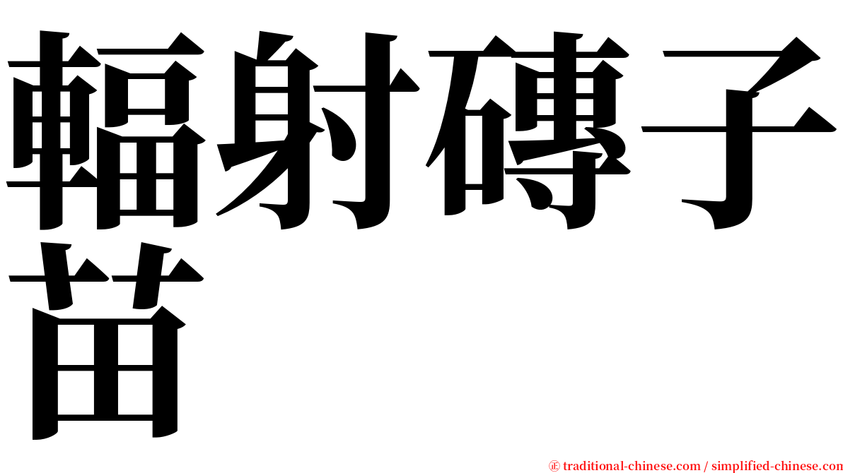 輻射磚子苗 serif font